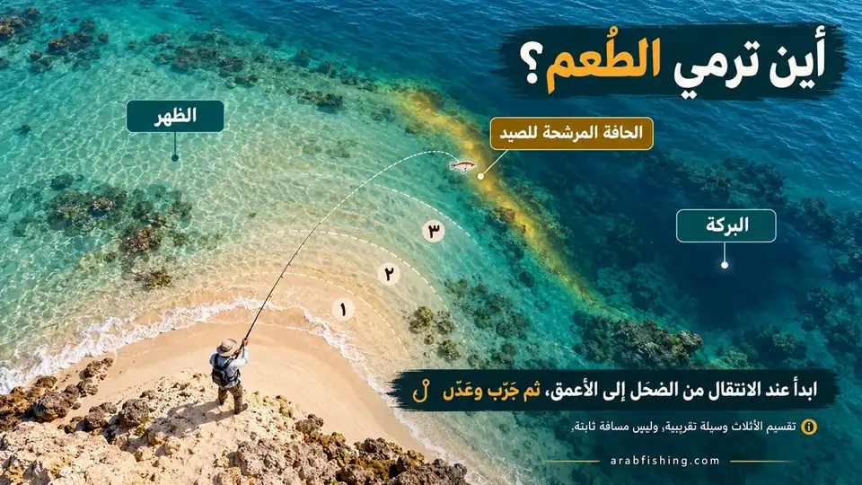 رسم يوضح تقسيم أثلاث الرمي والحافة المرشحة